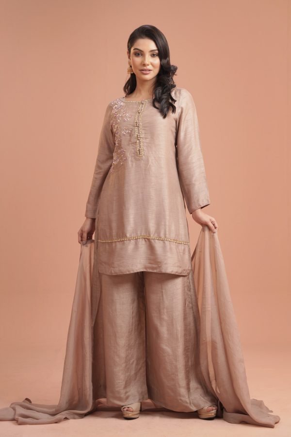 Kameez-Dola silk, Pant-Dola Silk , and Dupatta- Organza