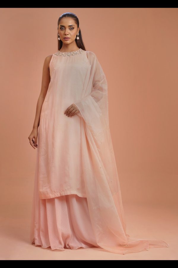 Kameez and Pant Raw silk, Dupatta Organza